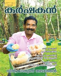 Magazine